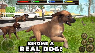 Ultimate Dog Simulator Captura de pantalla de la aplicación #1