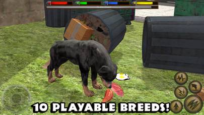 Ultimate Dog Simulator App screenshot #5
