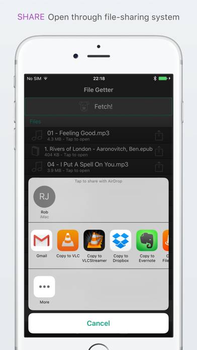 File Getter App skärmdump #3