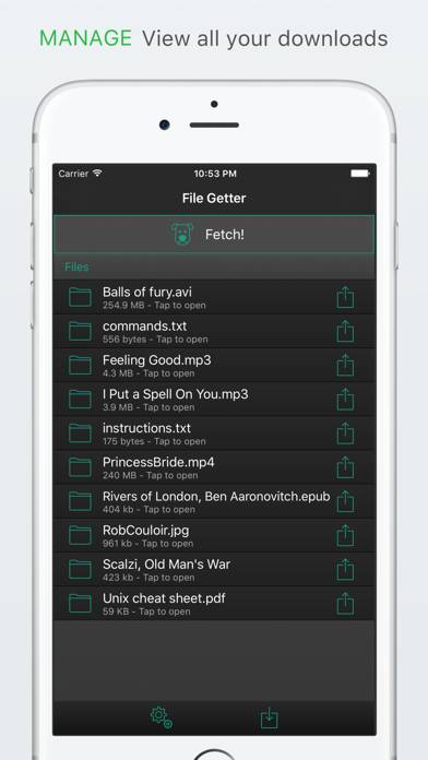 File Getter App skärmdump #4