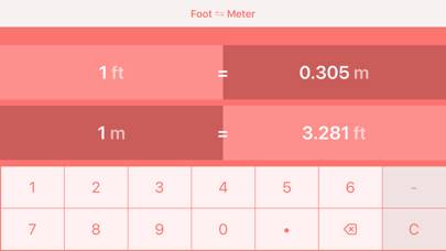 Feet to Meters | ft to m App screenshot #4