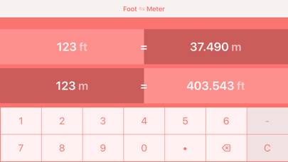 Feet to Meters | ft to m App screenshot #6