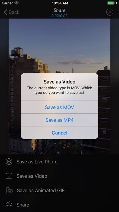 Live Convert Capture d'écran de l'application