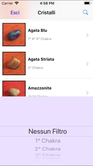 I-Cristalli App screenshot #3