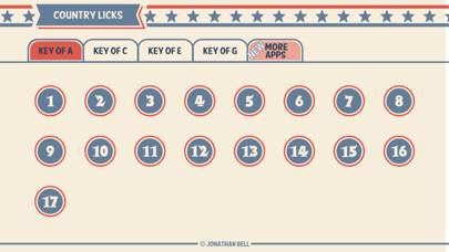 65 Country Guitar Licks capture d'écran