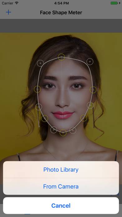 Face Shape Meter ideal finder Captura de pantalla de la aplicación #4