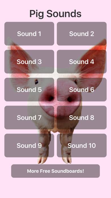 Pig Sounds Captura de pantalla de la aplicación #1