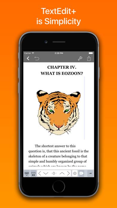 TextEdit. Schermata dell'app #1