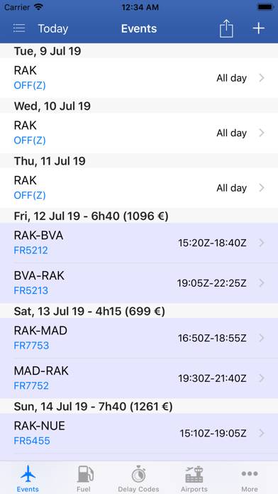737 Pilot Captura de pantalla de la aplicación #1