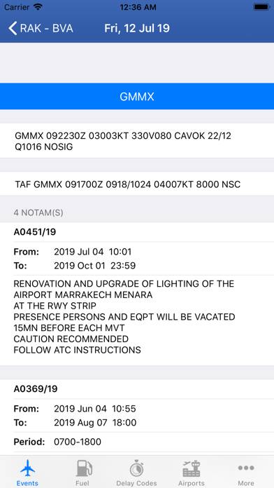 737 Pilot Captura de pantalla de la aplicación #3