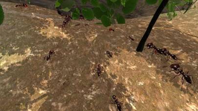 Ant Simulation Full Скриншот приложения #1