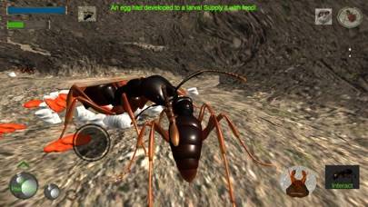 Ant Simulation Full Скриншот приложения #3