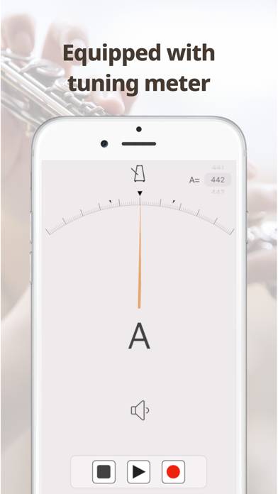 Smart Metronome & Tuner plus App-Screenshot #2