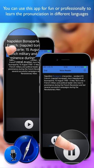 Voice Reader For Web Pro Capture d'écran de l'application #2