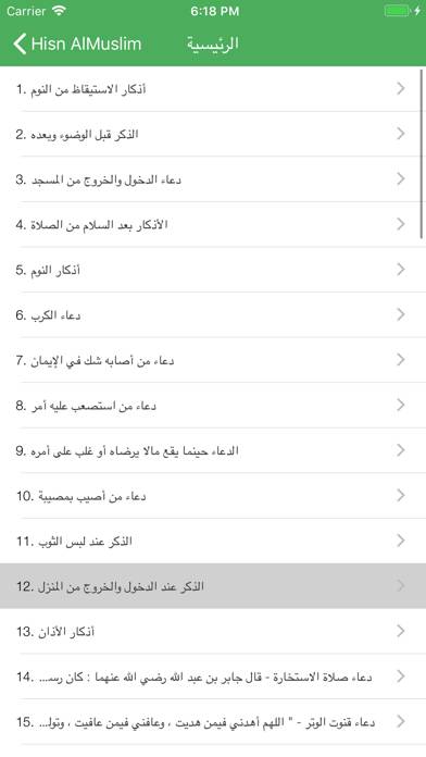 حصن المسلم - Hisn AlMuslim App skärmdump