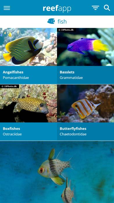 Reef App App screenshot #2