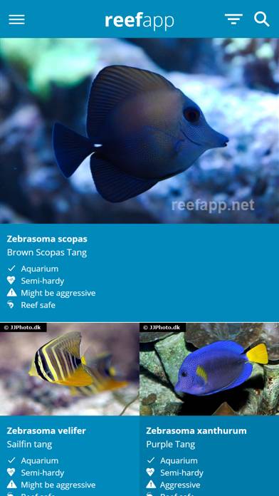 Reef App App skärmdump #3
