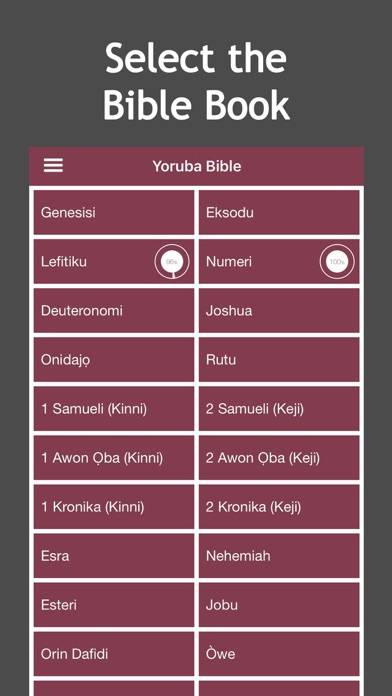 Yoruba Audio Bible Schermata dell'app #3