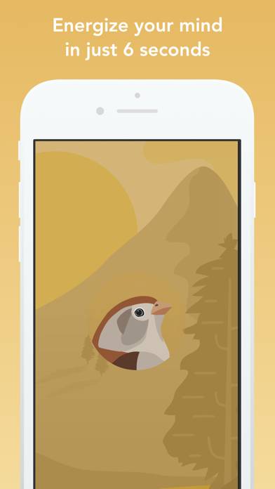 Wildfulness: Meditate & Relax App screenshot