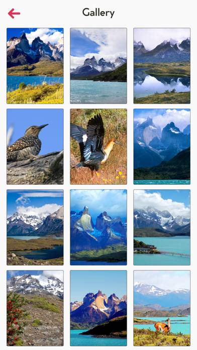 Torres del Paine Tourism App screenshot #4