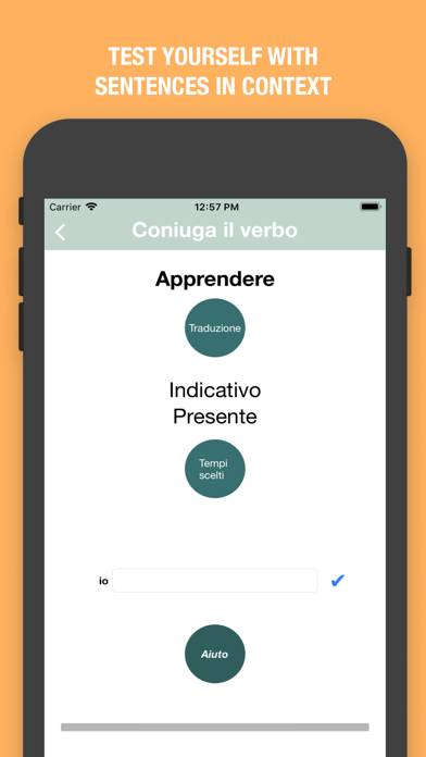 Italian Verbs Quiz App screenshot #3