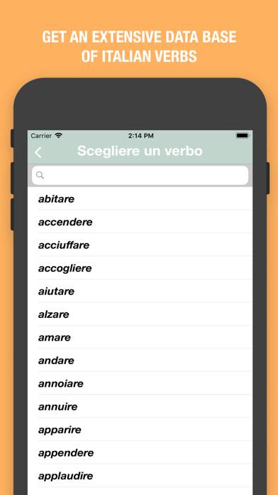 Italian Verbs Quiz App screenshot #6