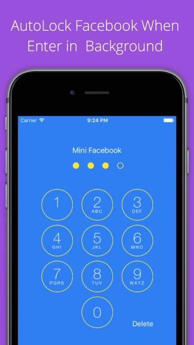 Mini for Facebook - with Lock Feature