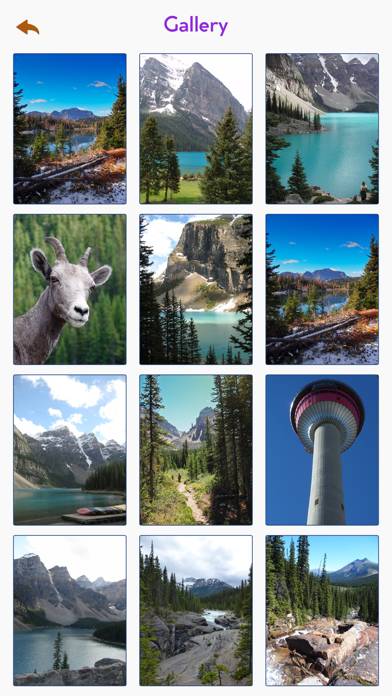 Banff National Park Tourism App screenshot #4