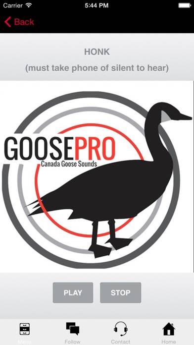 Goose Hunting Calls-Goose Sounds-Goose Call App App screenshot #1