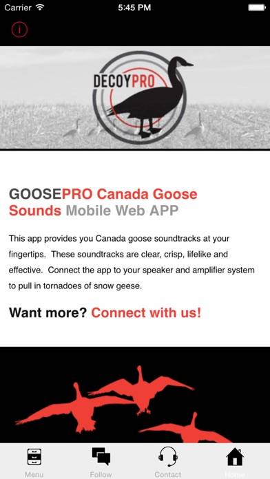 Goose Hunting Calls-Goose Sounds-Goose Call App App screenshot #3