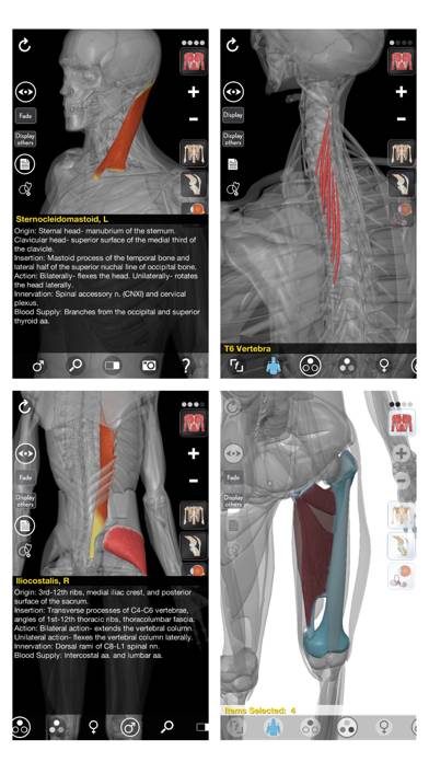 3D Organon Anatomy App skärmdump #3