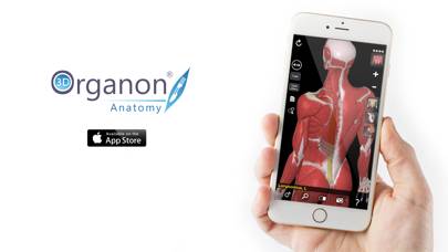 3D Organon Anatomy App skärmdump #4