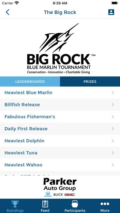The Big Rock Tournament screenshot