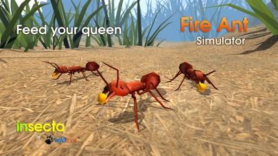 Fire Ant Simulator Schermata dell'app #4