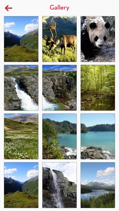 Rondane National Park Tourism App-Screenshot #5