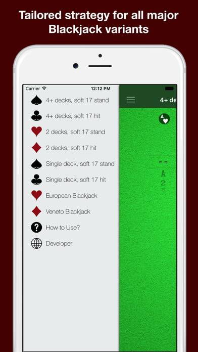Black Jack Strategy Assistant Schermata dell'app #2