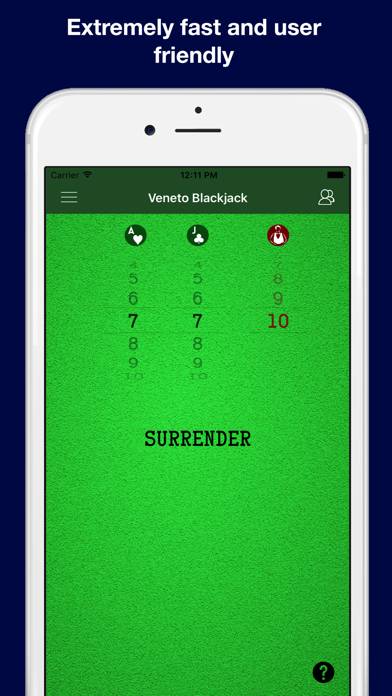 Black Jack Strategy Assistant Schermata dell'app #3