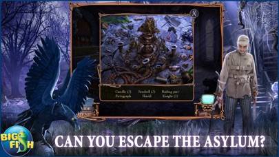 Mystery Case Files: Ravenhearst Unlocked App screenshot #2