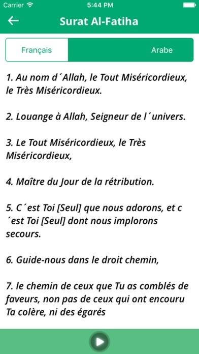 Coran en français Capture d'écran de l'application #3