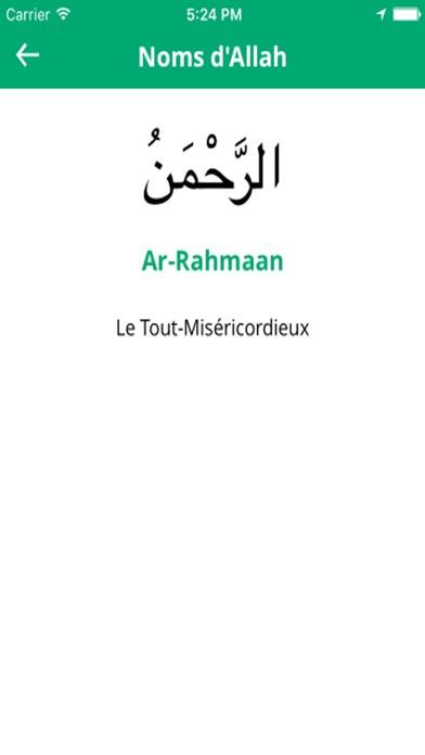 Coran en français Capture d'écran de l'application #5