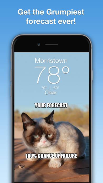 Grumpy Cat's Funny Weather skärmdump