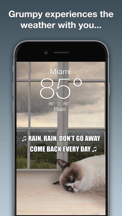 Grumpy Cat's Funny Weather App skärmdump