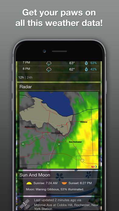 Grumpy Cat's Funny Weather App skärmdump