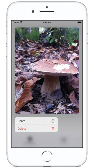 Track My Mushrooms Schermata dell'app #2