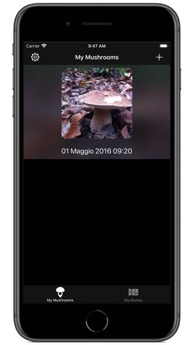 Track My Mushrooms Schermata dell'app #6