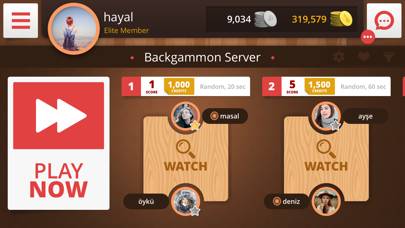 Backgammon Uygulama ekran görüntüsü #4