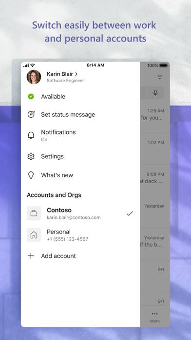 Microsoft Teams Captura de pantalla de la aplicación #6