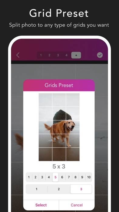 Griddy: Split Photo Grids Post Captura de pantalla de la aplicación #3