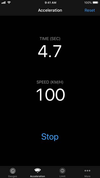 Speedometer∞ App skärmdump #3