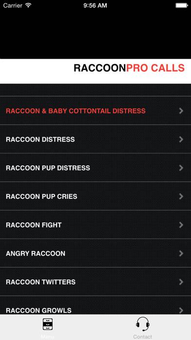 Raccoon Calls App-Screenshot #1